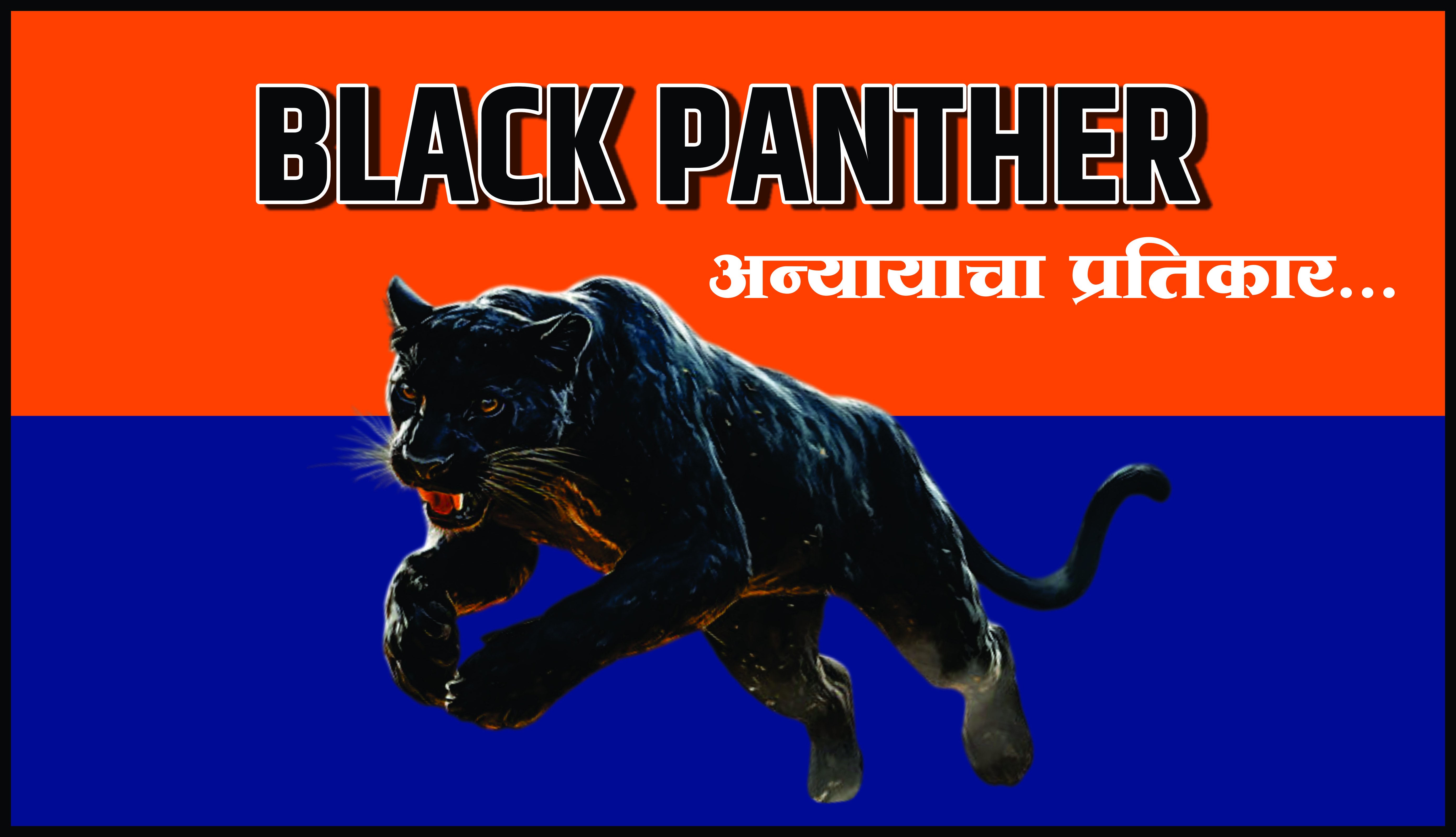 Black Panther Flag